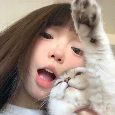 八公物语
